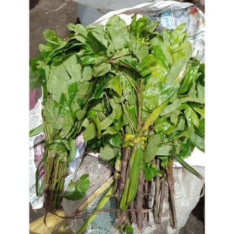 Agricultural produce