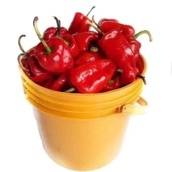 Agricultural produce