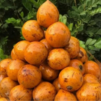 Agricultural produce