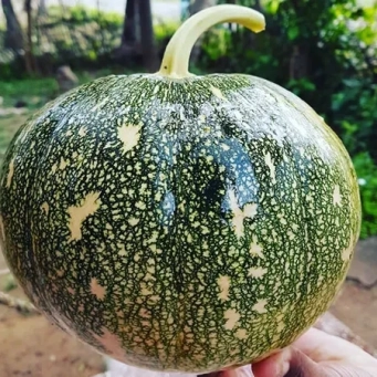Agricultural produce