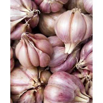 Agricultural products
